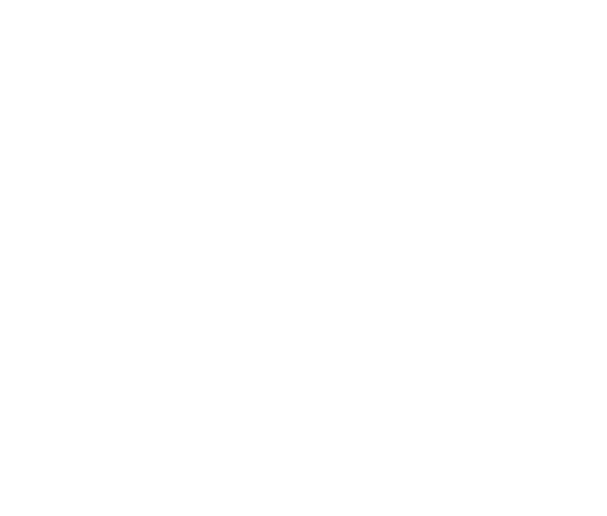 ICIM